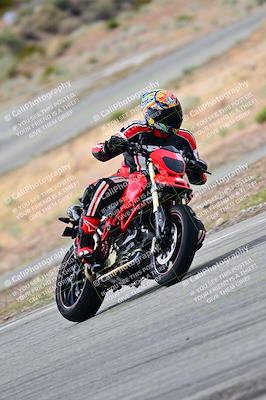 media/Apr-26-2025-2WTD (Sat) [[797c348bd3]]/C Group/240pm/